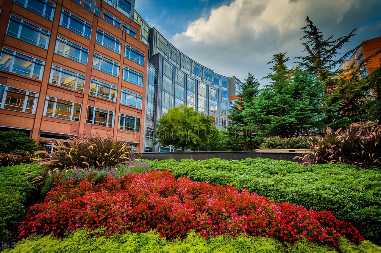 大学生当军官有哪些方式？这四种方式大部分人没见过，尤其后两种