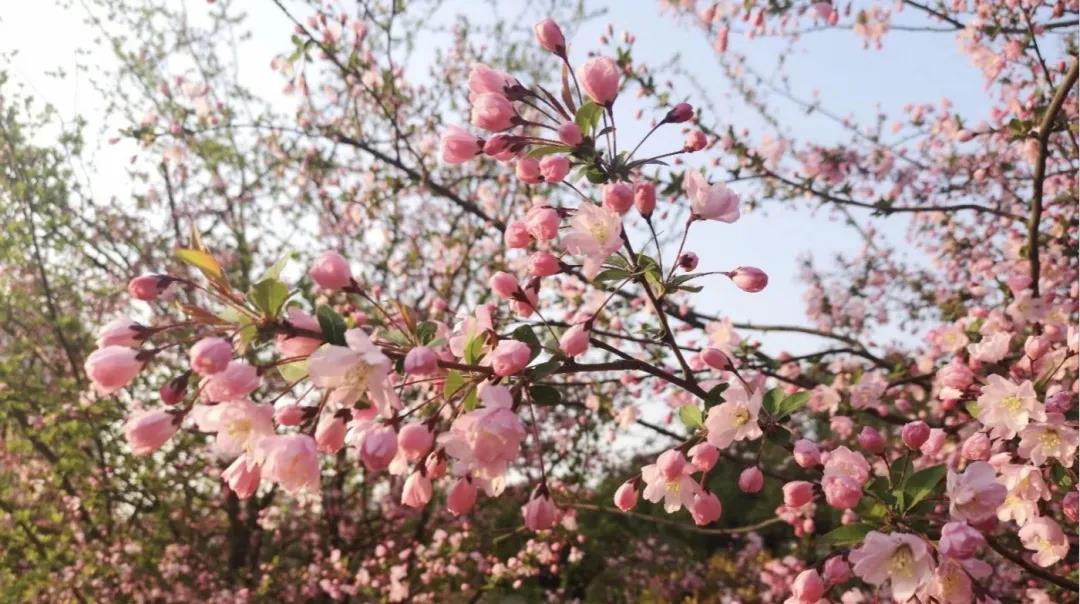 填报志愿在即！安徽这所高校一定要谨慎报考，内附10大理由！