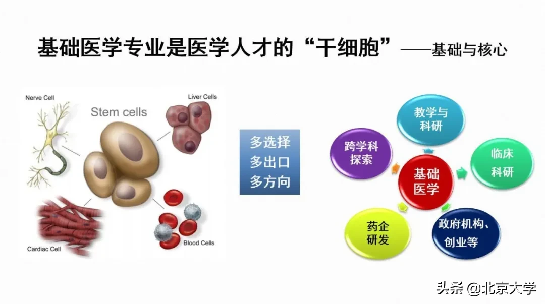 强基计划，北大医学等你来！