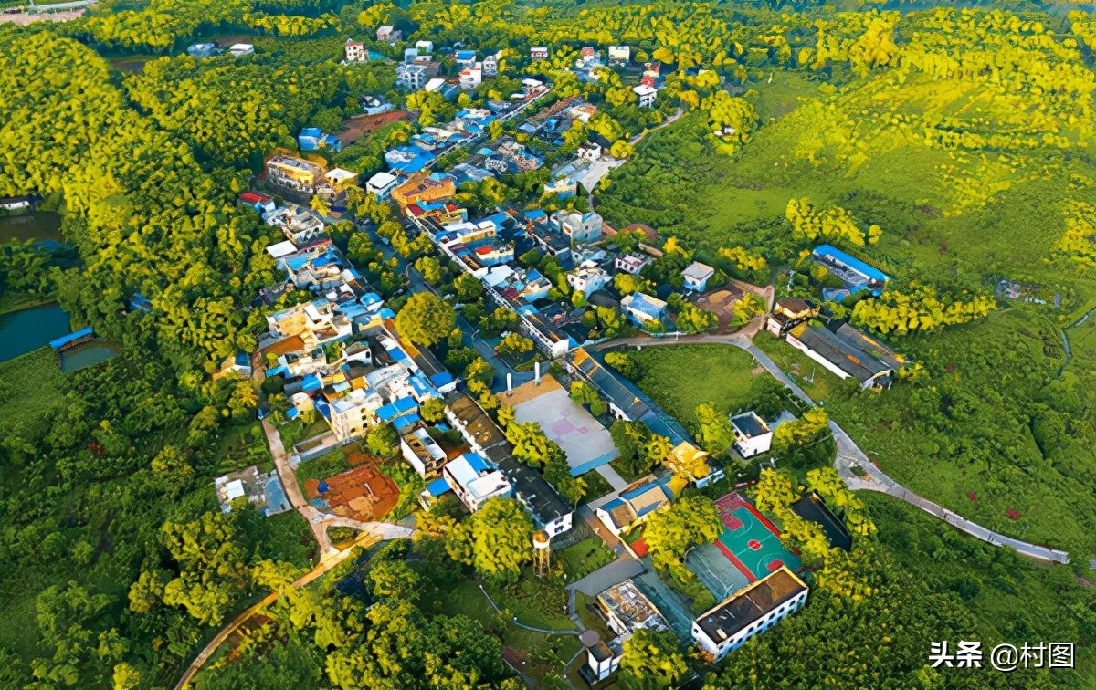 农民朋友：农村户口会呈现出哪些优势？提前了解有好处，咋回事？