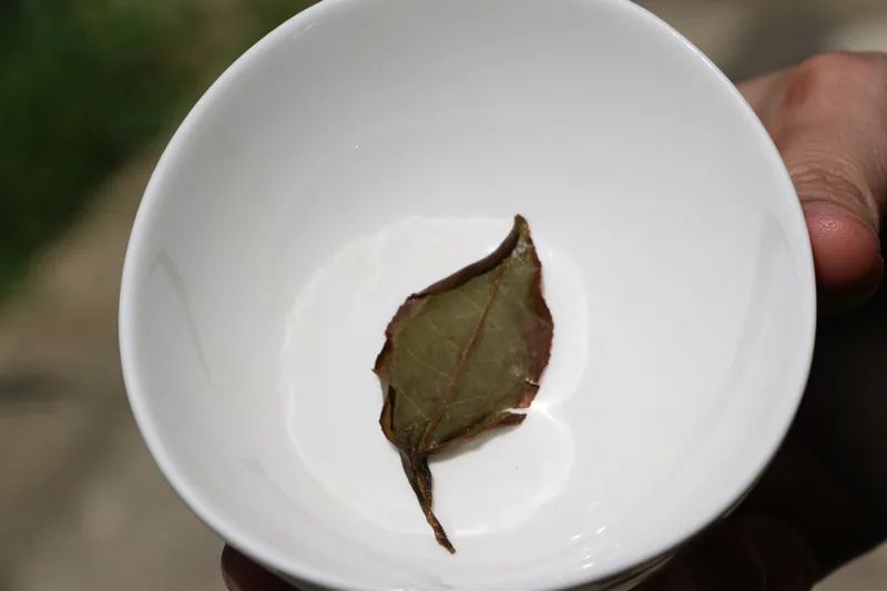 你可能忽略的10個(gè)泡茶小常識(shí)