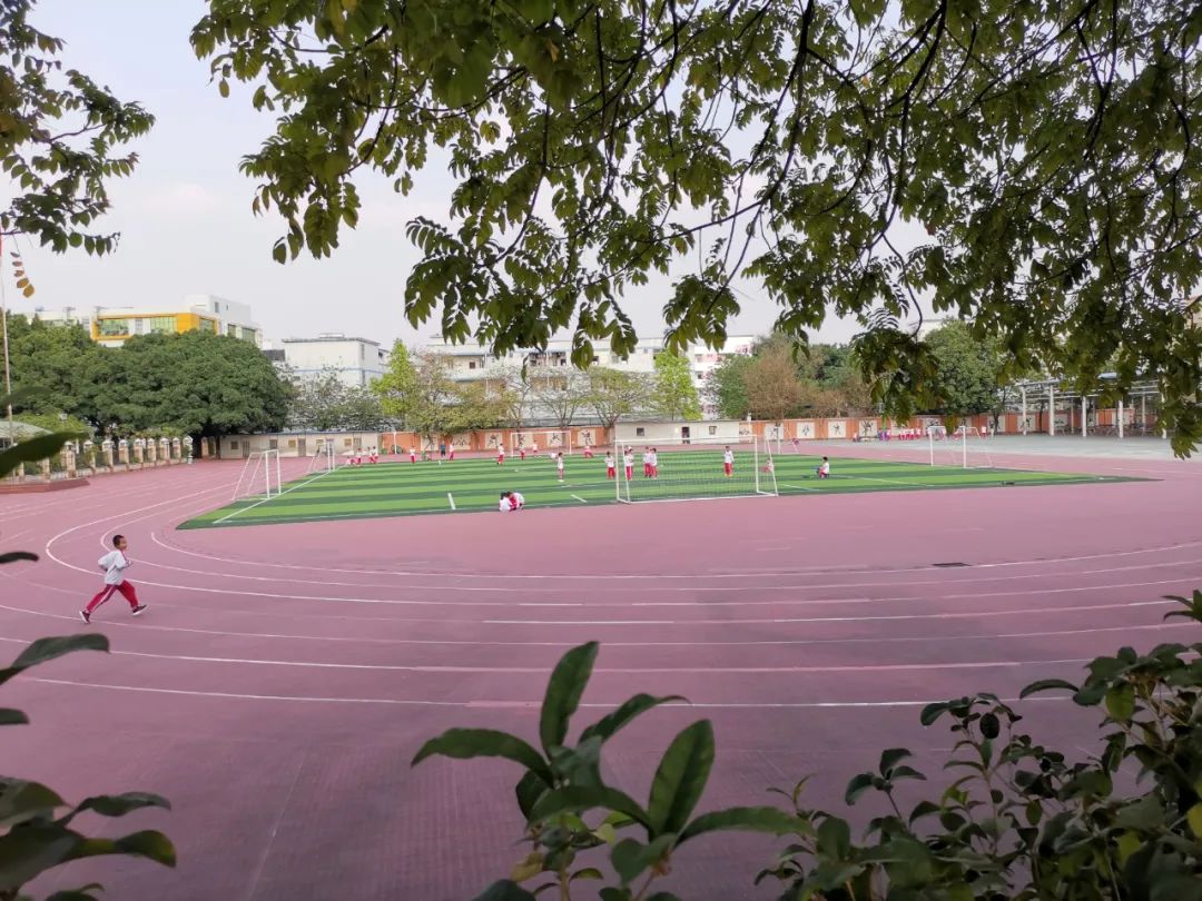 不仅有保送，带你走进广州这所最多元却很低调的高中