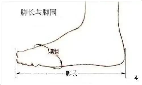 中国鞋码对照表图（如何挑选一双合脚的鞋子）(4)