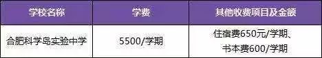 合肥部分民办高中信息汇总！内含招生简章＋班级设置＋高考成绩