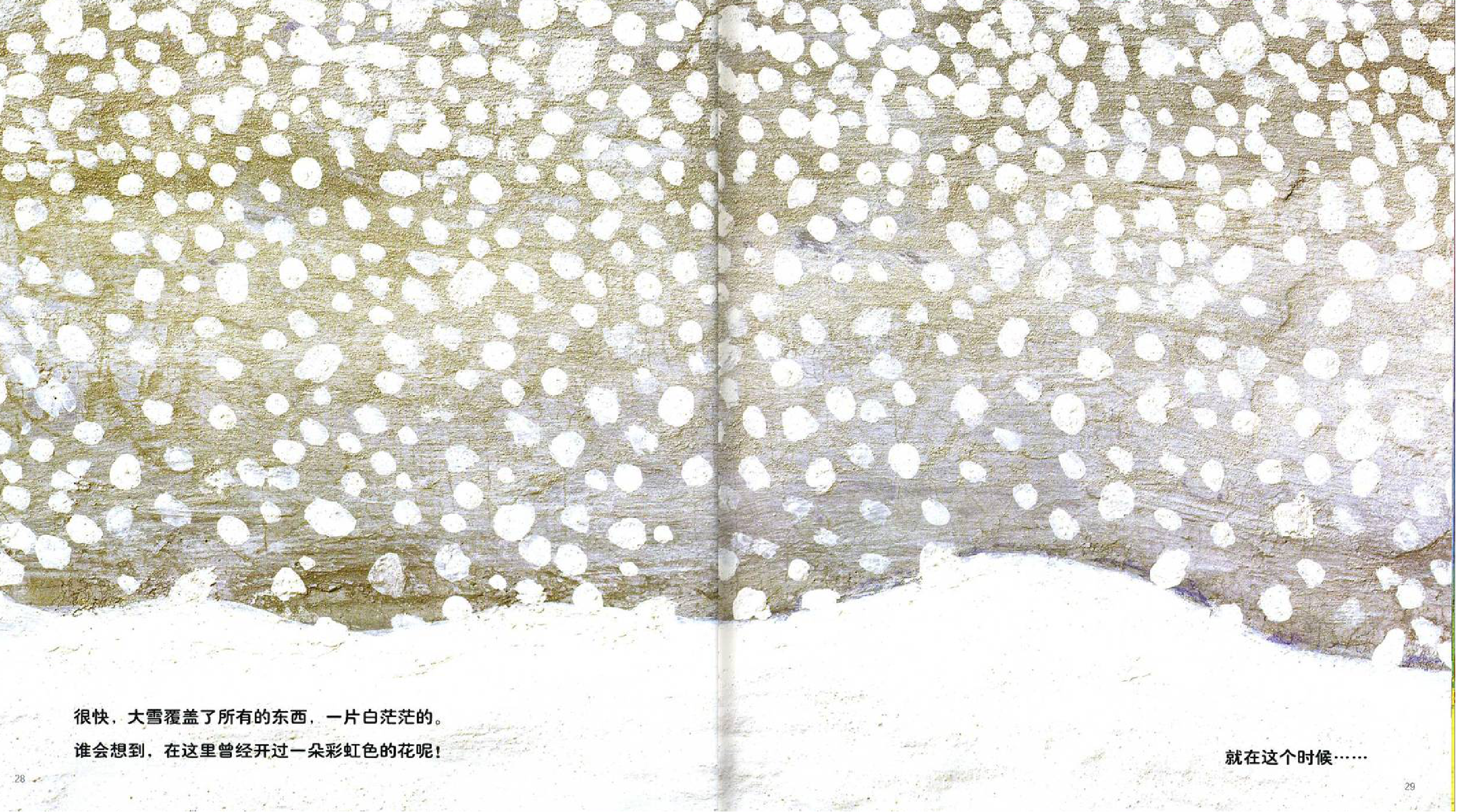 一个关于彩虹花的绘本故事《彩虹色的花》