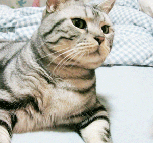 2020版最新法官、检察官表情大全！哈哈哈