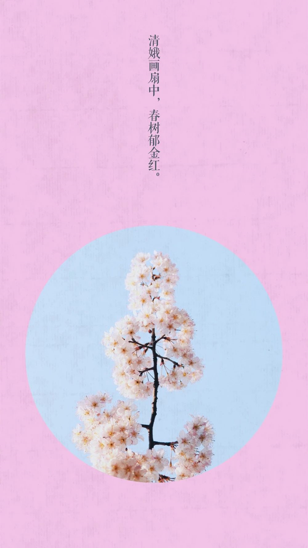 中国这10所大学壁纸第二期！厦门大学、中山大学等在列