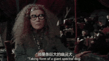 都是看《哈利·波特》，你在刷电影玩游戏，有人发了3篇大脑论文