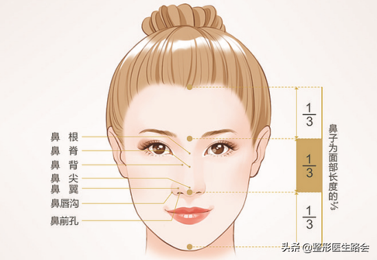 这些符合中国人的东方美鼻标准你知道吗？