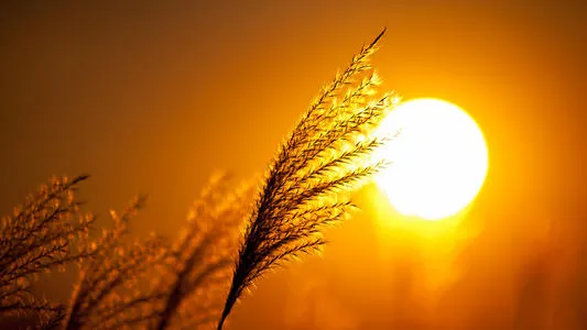 【朗读南明】别样诠释青春，汪国真的诗与远方