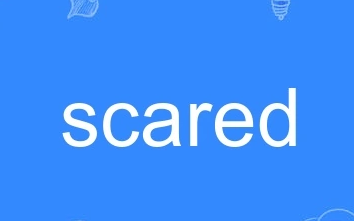 Scared是什么意思 Scared的名词形式 汽车时代网