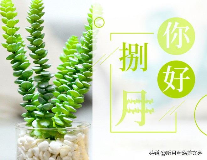 七月再见，八月你好，时光匆匆，微笑向暖