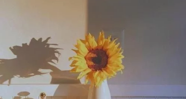 2021最火情感语录短句