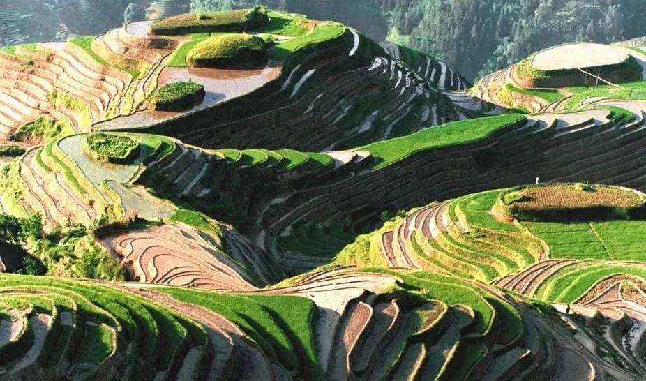 教学与评价“双管齐下”，她让更多学生在思维发展中幸福成长