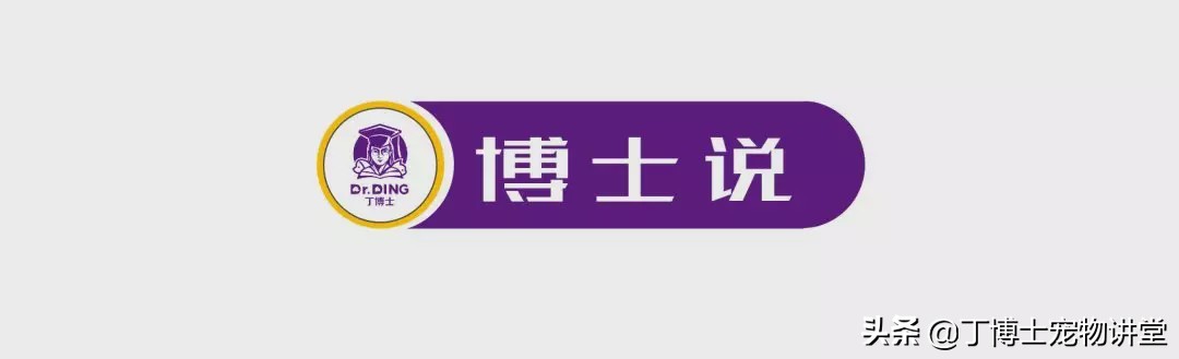 养猫者请注意：以鱼为基础的猫粮，需要关注维生素K的指标