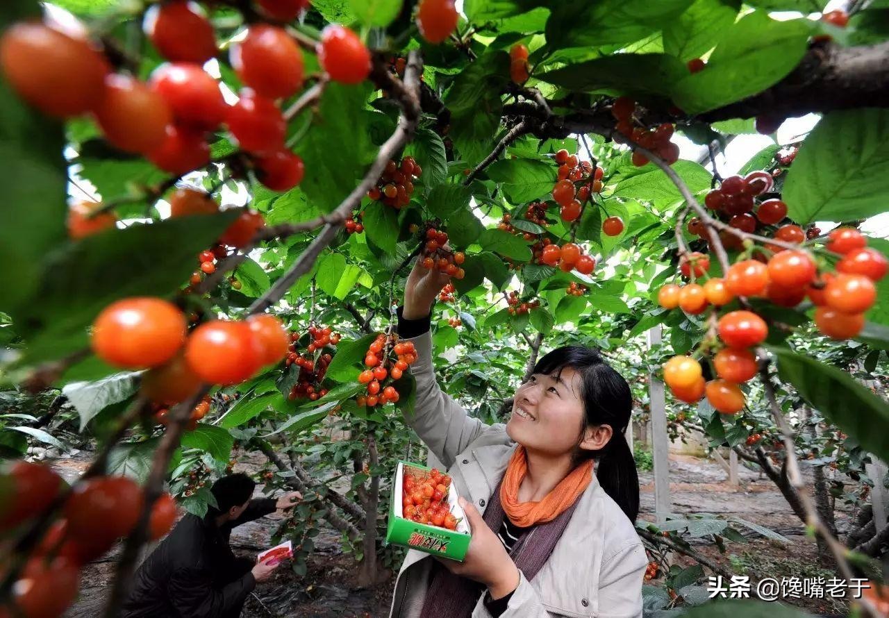 惊蛰前后，遇到这5种水果别手软，滋润防“春燥”好吃营养还不贵