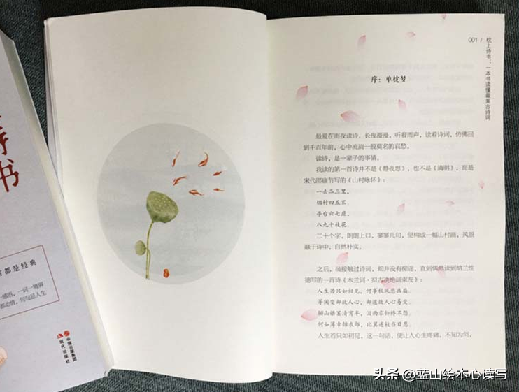 书本中优美的句子书名