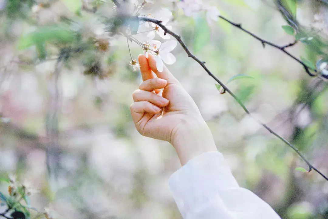 一个人熬过所有的苦，就懂了一个人熬过所有的苦，就懂了