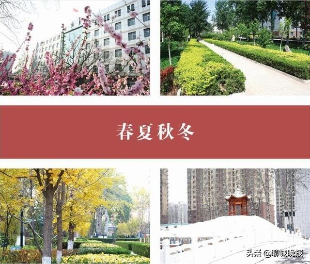 聊城二中：“一般学生”上清华，“大美二中”有办法