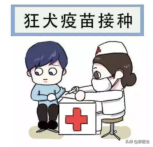 被狗咬伤了该怎样办？