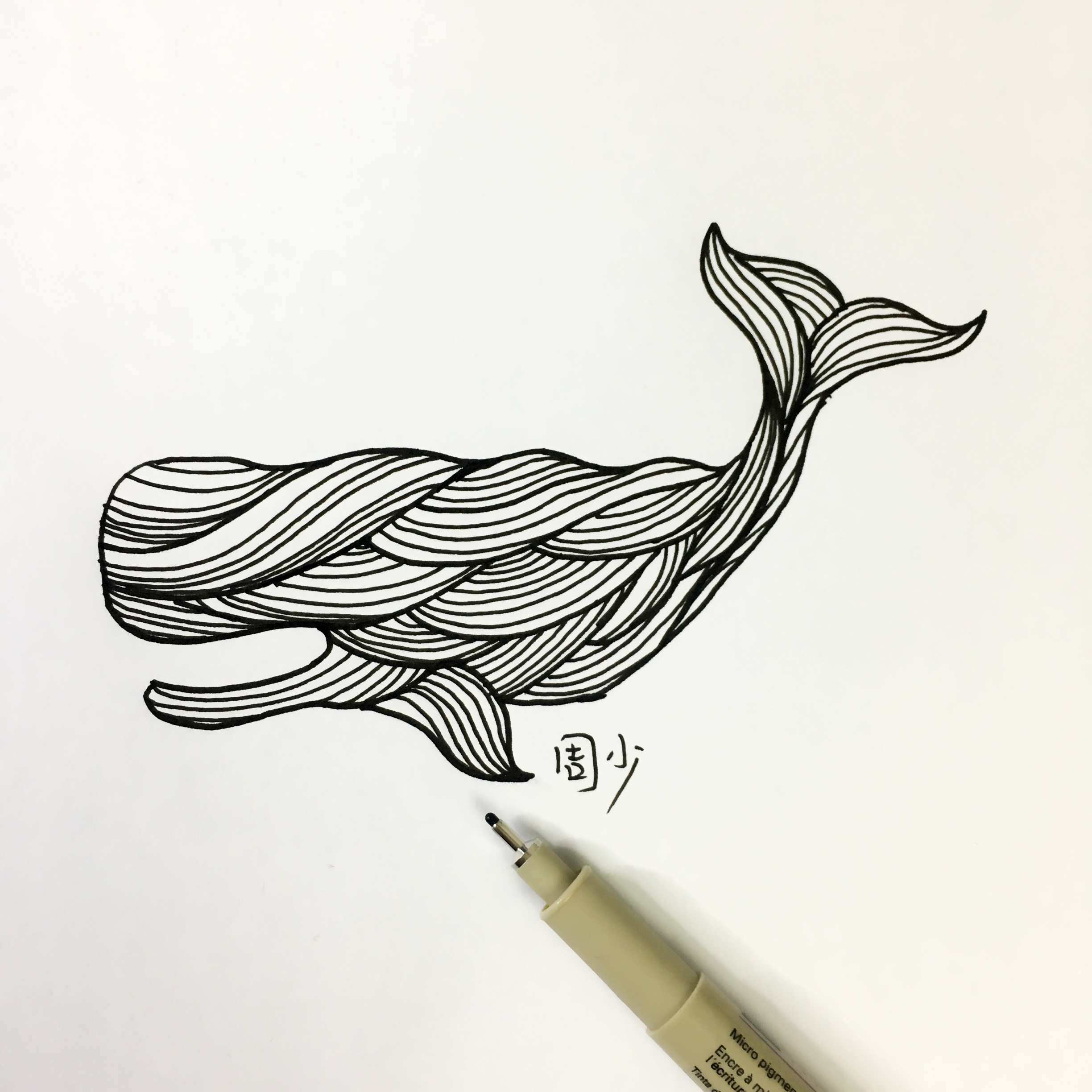 禅绕画分步教程：鲸鱼尾巴