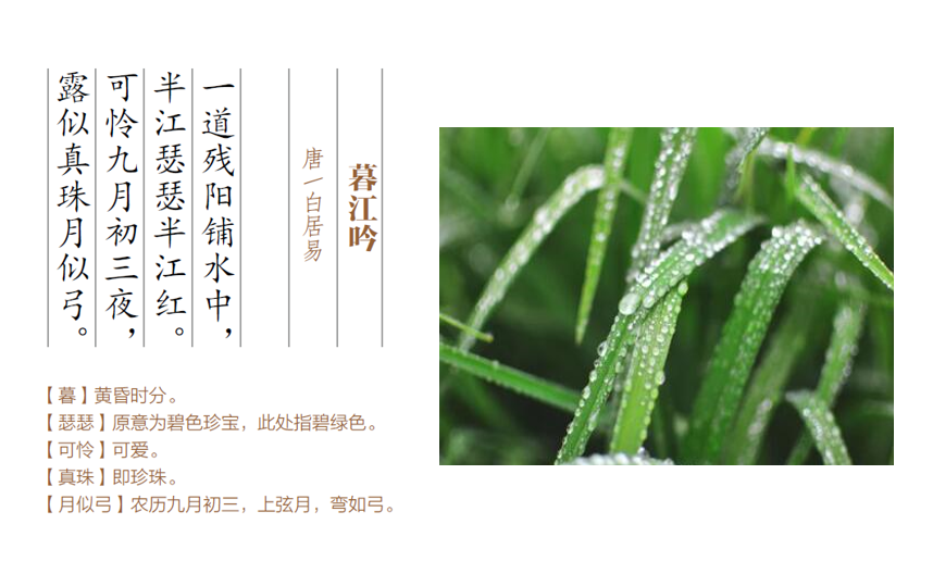 自然之美：风霜高洁，秋天的霜、露、雾