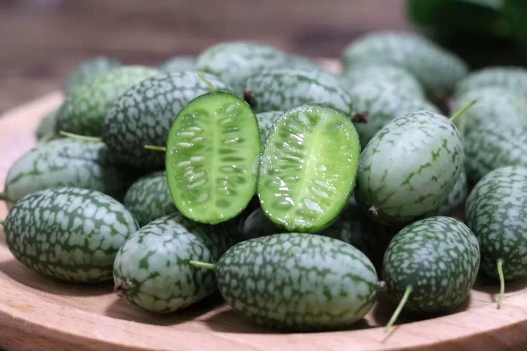 国内葫芦科蔬果全介绍