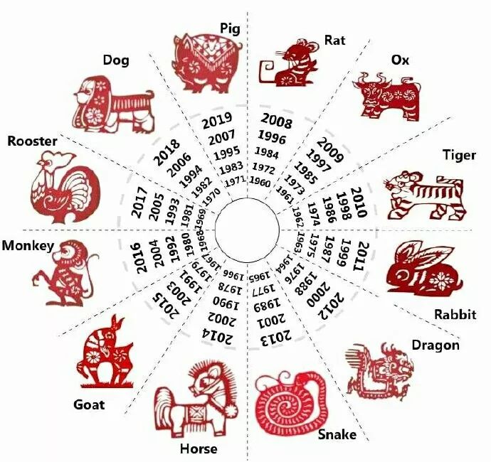 鼠年究竟用Mouse还是Rat？这个问题困扰了很多人！