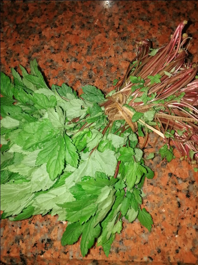 很多人吃过益母草，却很少人知道这个—珍珠菜
