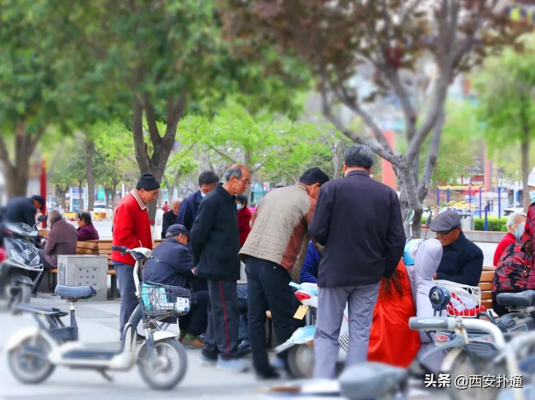 蒲城，我去过最好吃的城市