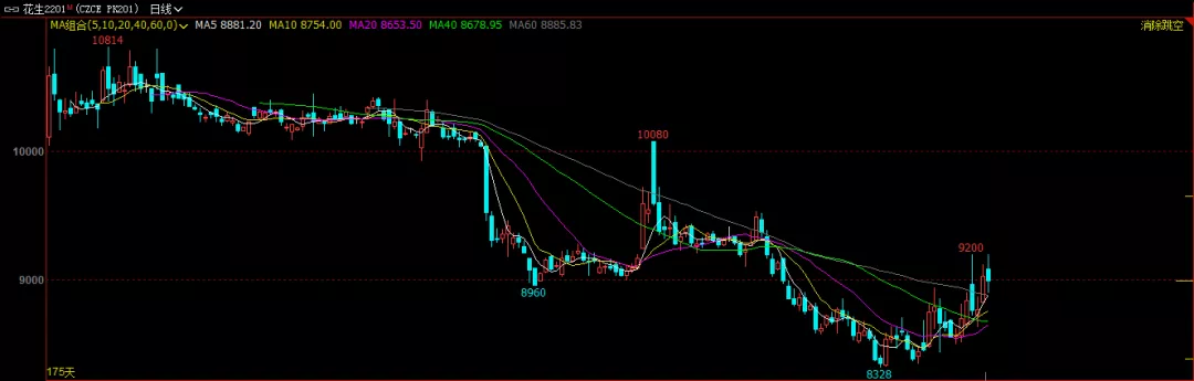 期价低位跃跃欲试 新季花生有惊喜？