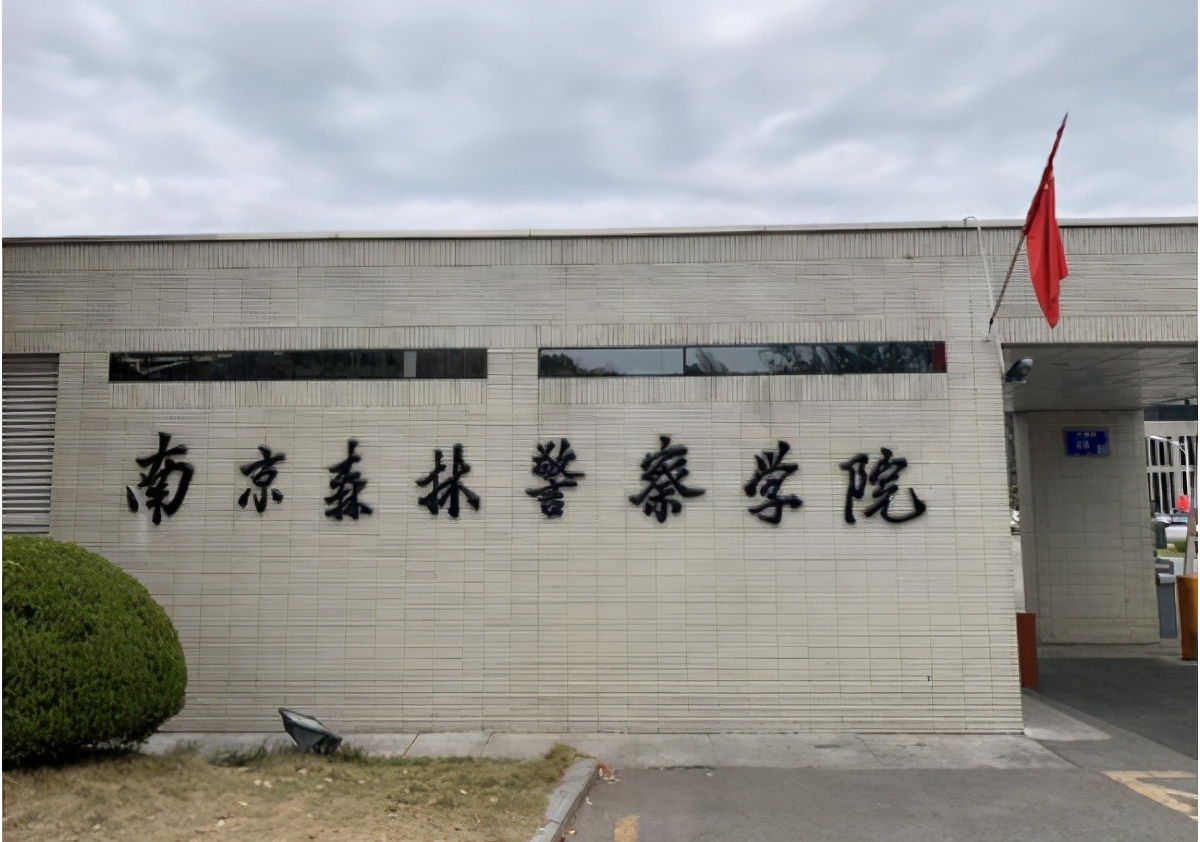 就业率不比211差的5所双非院校，录取分数也不高，未来发展也不错