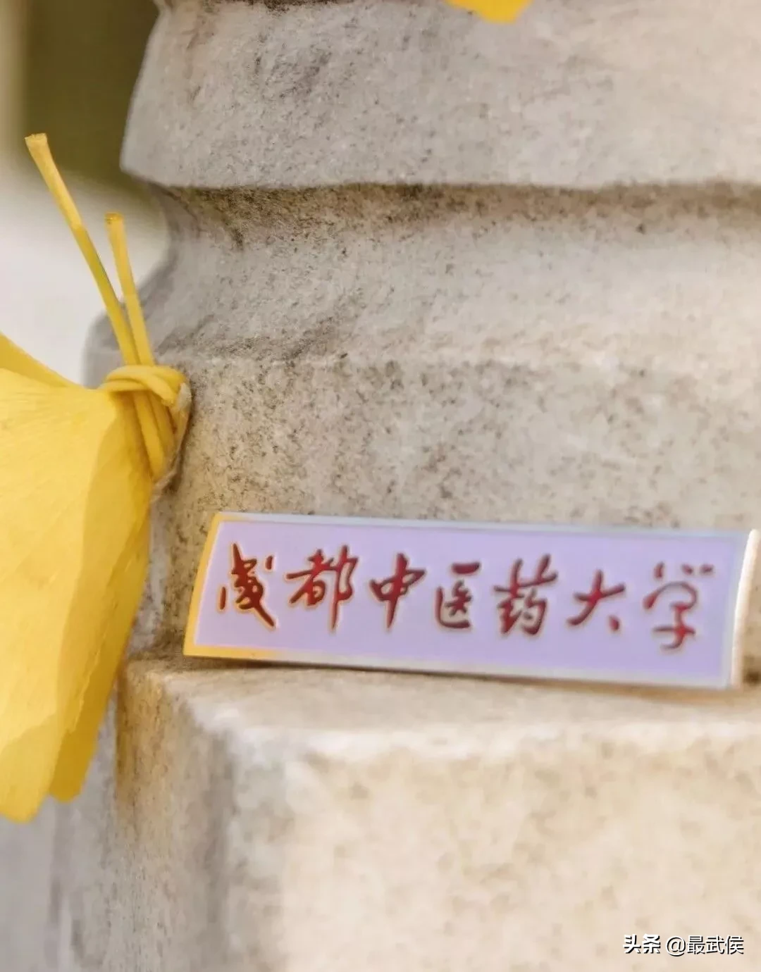 成都中医药大学，不能再低调了！