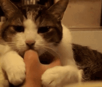 2020版最新法官、检察官表情大全！哈哈哈