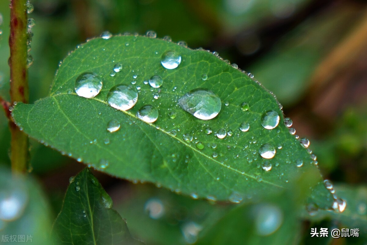 《列子》原文 译文（二）