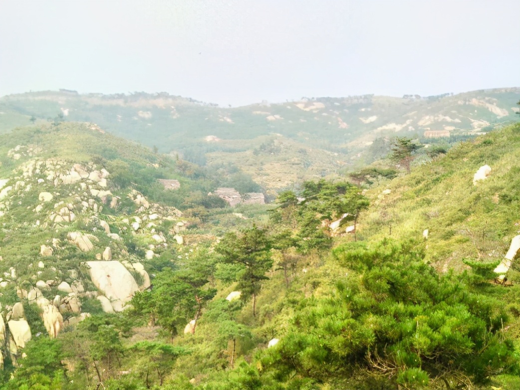 莱芜区有什么地方好玩？在莱芜区千万不要错过这些景点