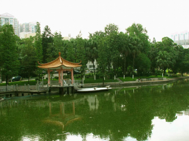 广东省存在感很低的一所211大学，外地鲜有人知，但就业是真的好