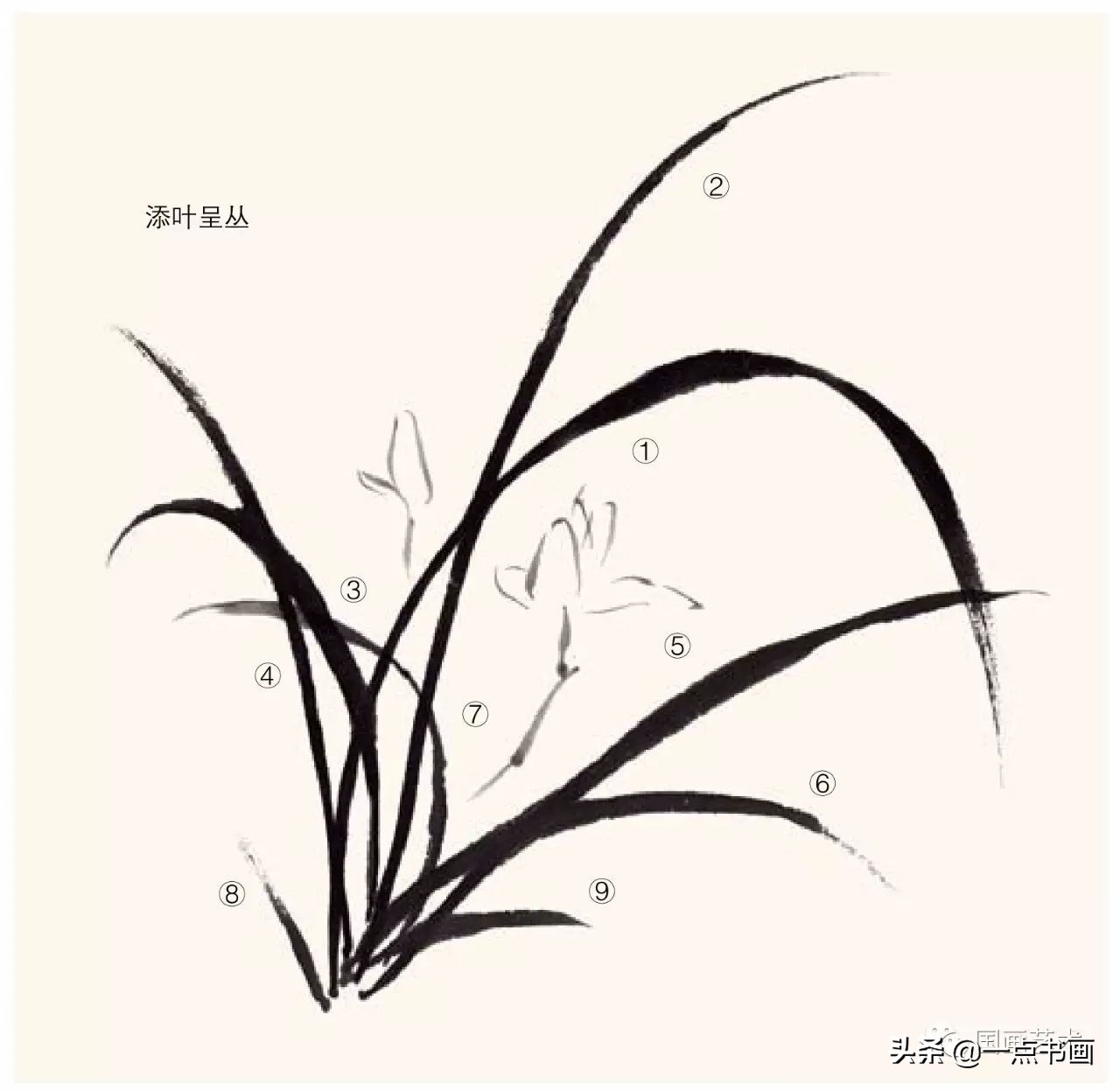 兰花怎么画(国画兰花画法技法教程)-我的快乐小窝