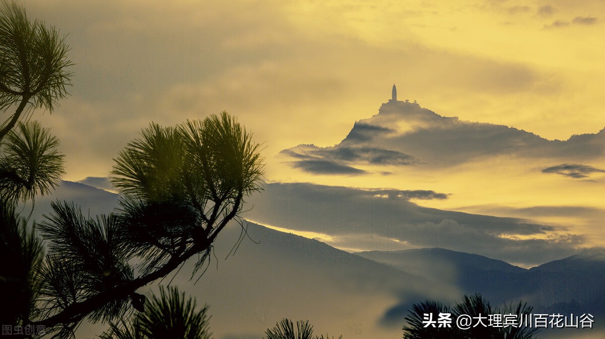 山风袭来，翠微千里，松塔俏立枝头，松仁清香弥漫在空气中