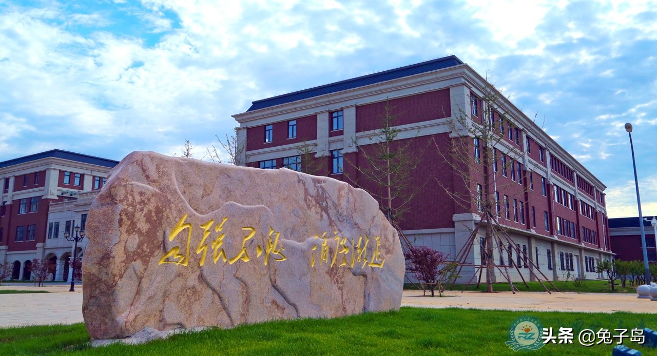 最新出炉：2021年辽宁省职业技术大学排名！仅有一所入榜