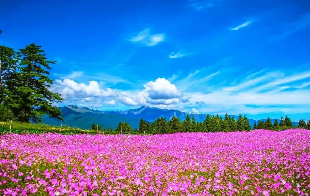 东莞10个免费景点，人少景美，你去过几个？