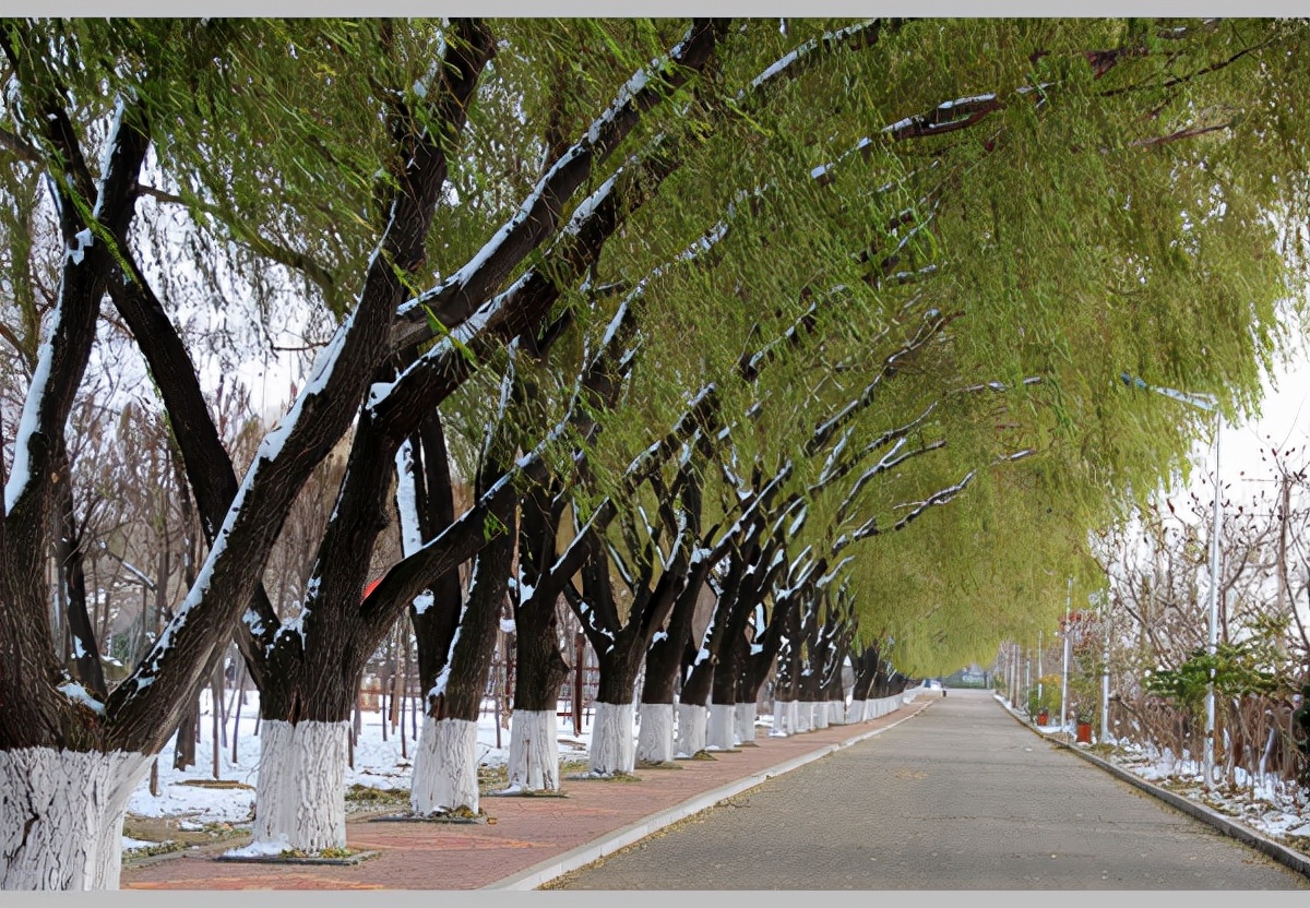 辽宁一所公办大学，招生缺额1633人，47个专业没招满，原因何在？