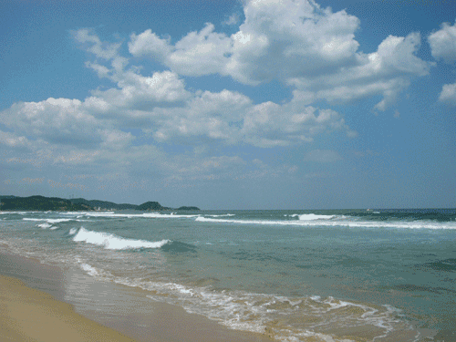 海之语：心随潮起，梦逐浪远