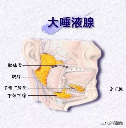 舌头和嘴唇长泡怎么快速治愈？口腔溃疡护理方法
