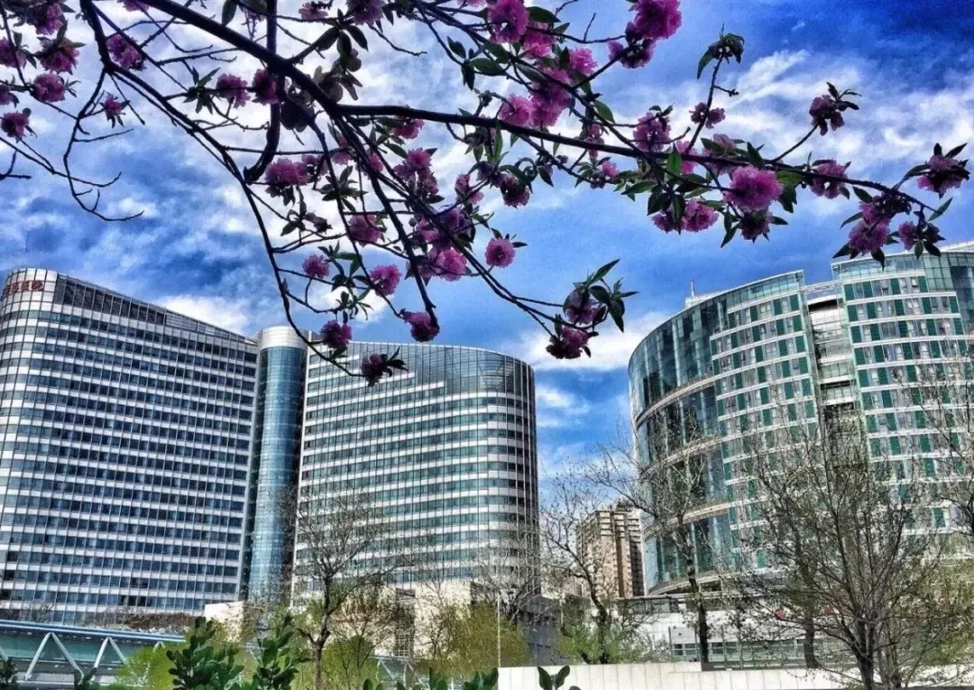 天津总医院，又被点名了