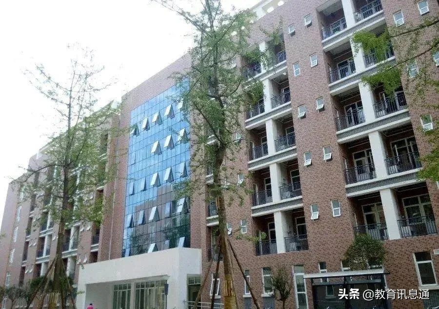 一份来自成都大学的“自我介绍”