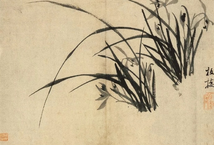 郑板桥一生只画兰,竹,石,他的书法在中国书法史上也是独树一帜