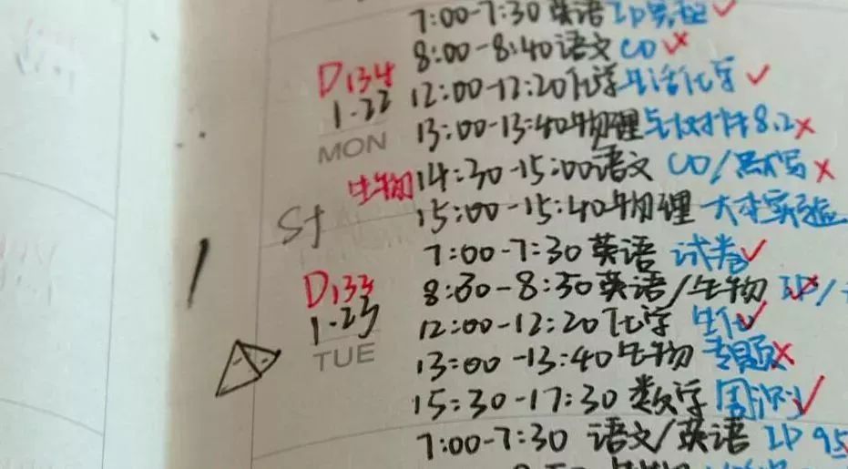 考上985/211的孩子，初中时都做了些什么？