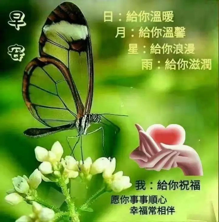 潇洒的意思解释（潇洒人生是什么样）