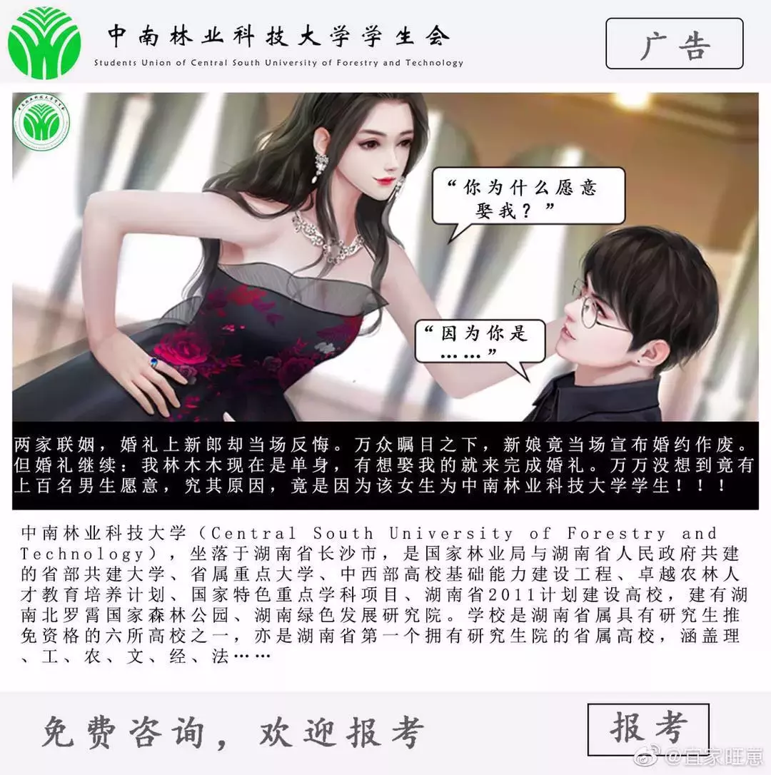 火了！这届高校的招生文案，有点意思